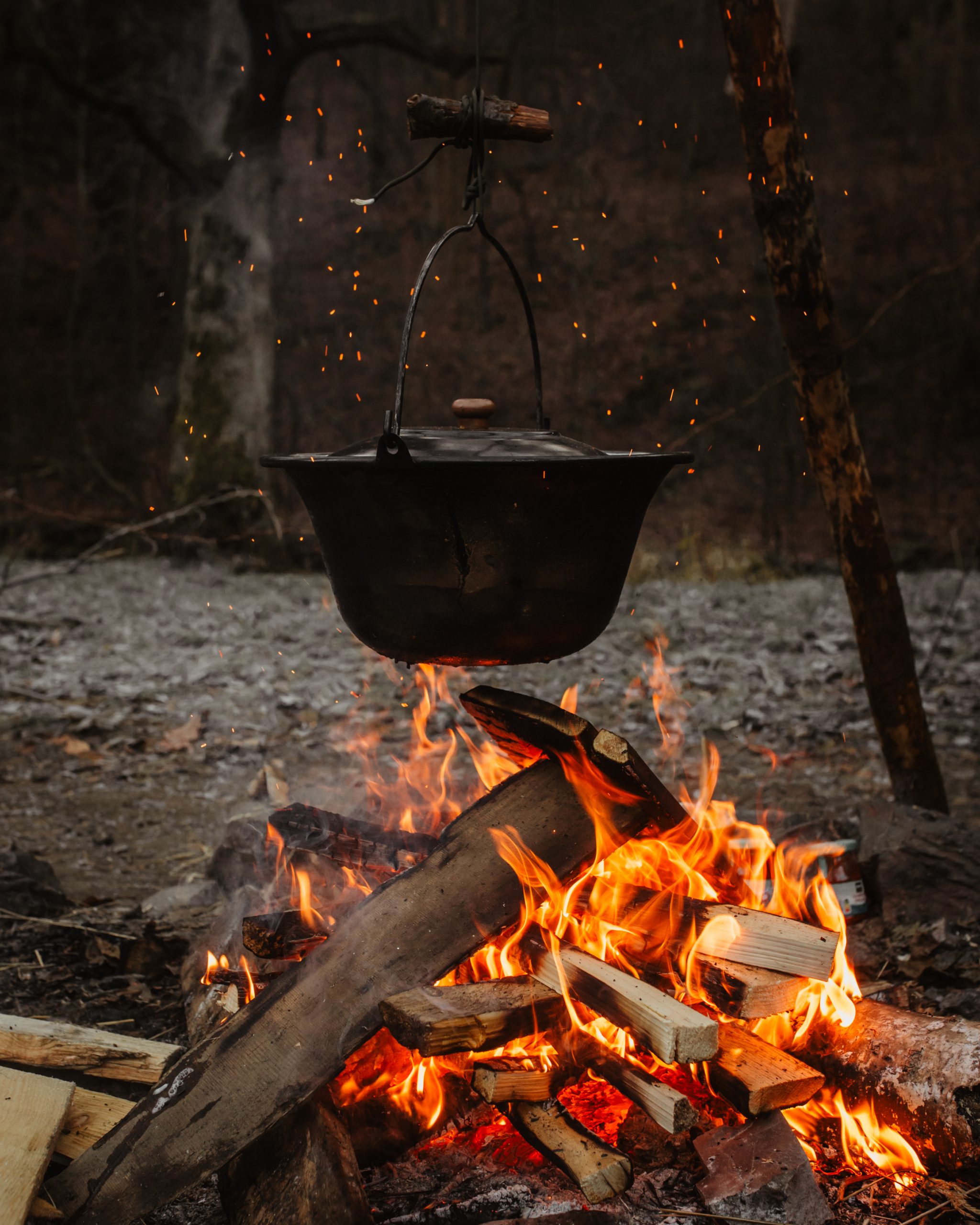 BorkhPhotography_Harz2025_07