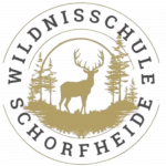 Wildnisschule Schorheide