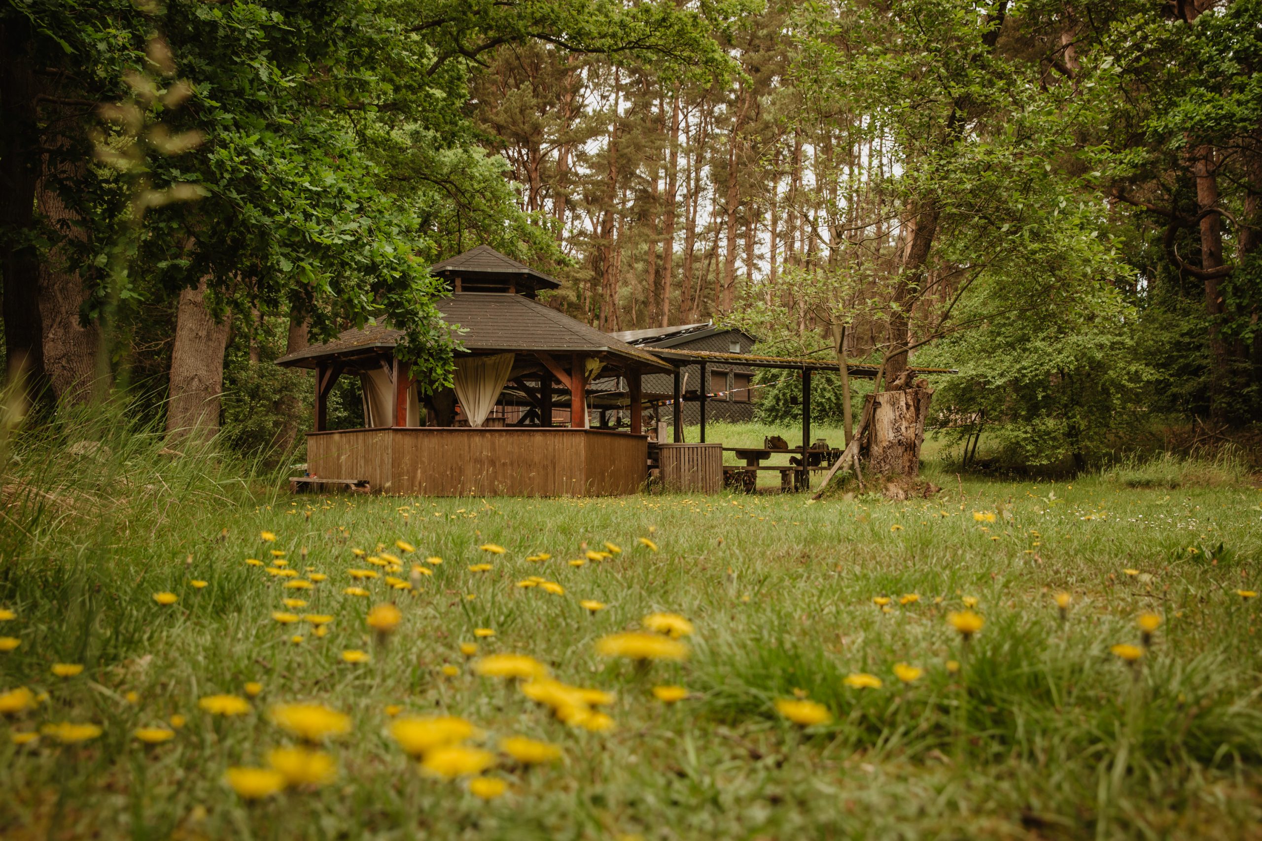 Wildnisplatz Frauenkreis Unterstand im Wald
