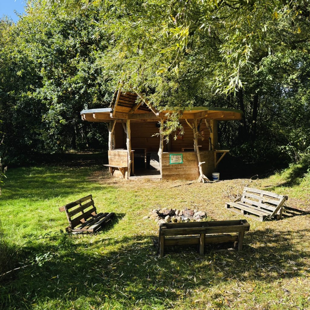 Bildplatzhalter: Wildnisplatz Hinterland – Nieklitz – Hauptbild