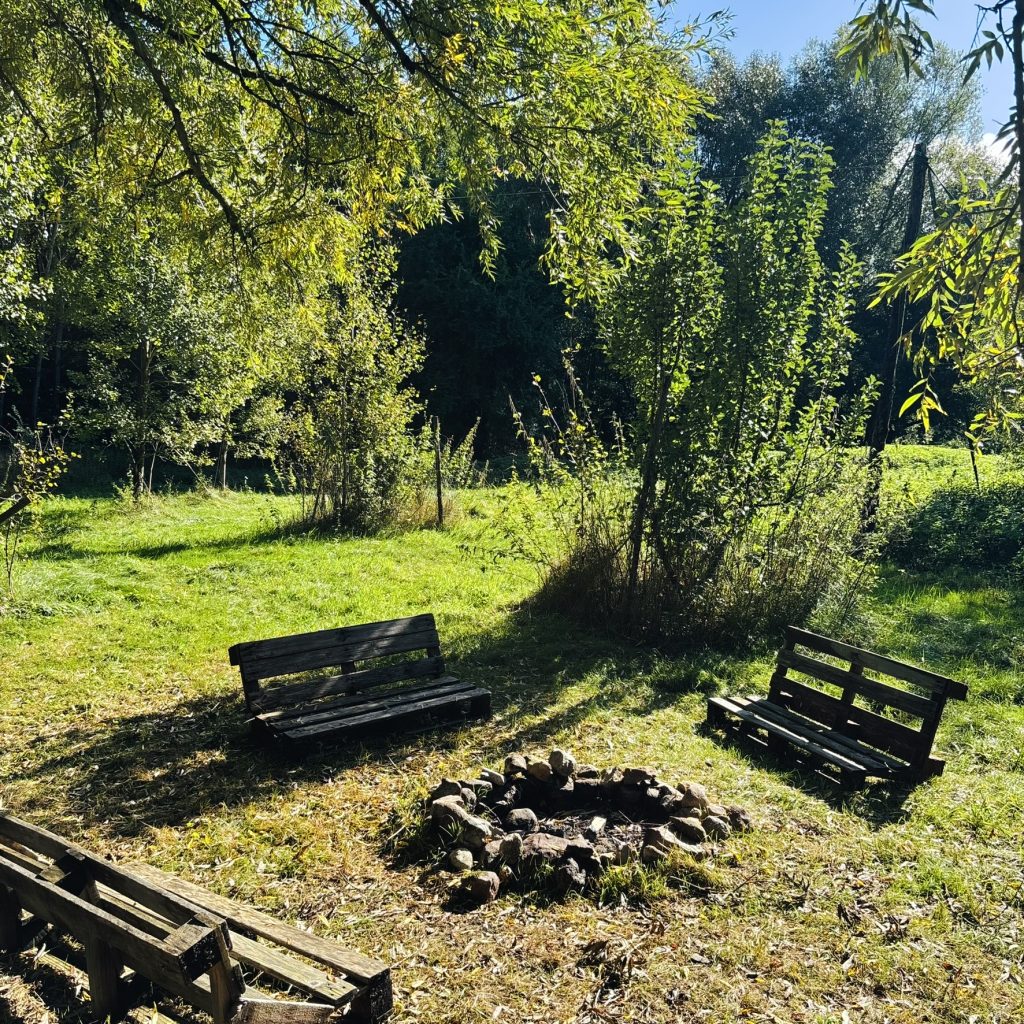 Bildplatzhalter: Wildnisplatz Hinterland – Nieklitz – ergänzendes Bild 1