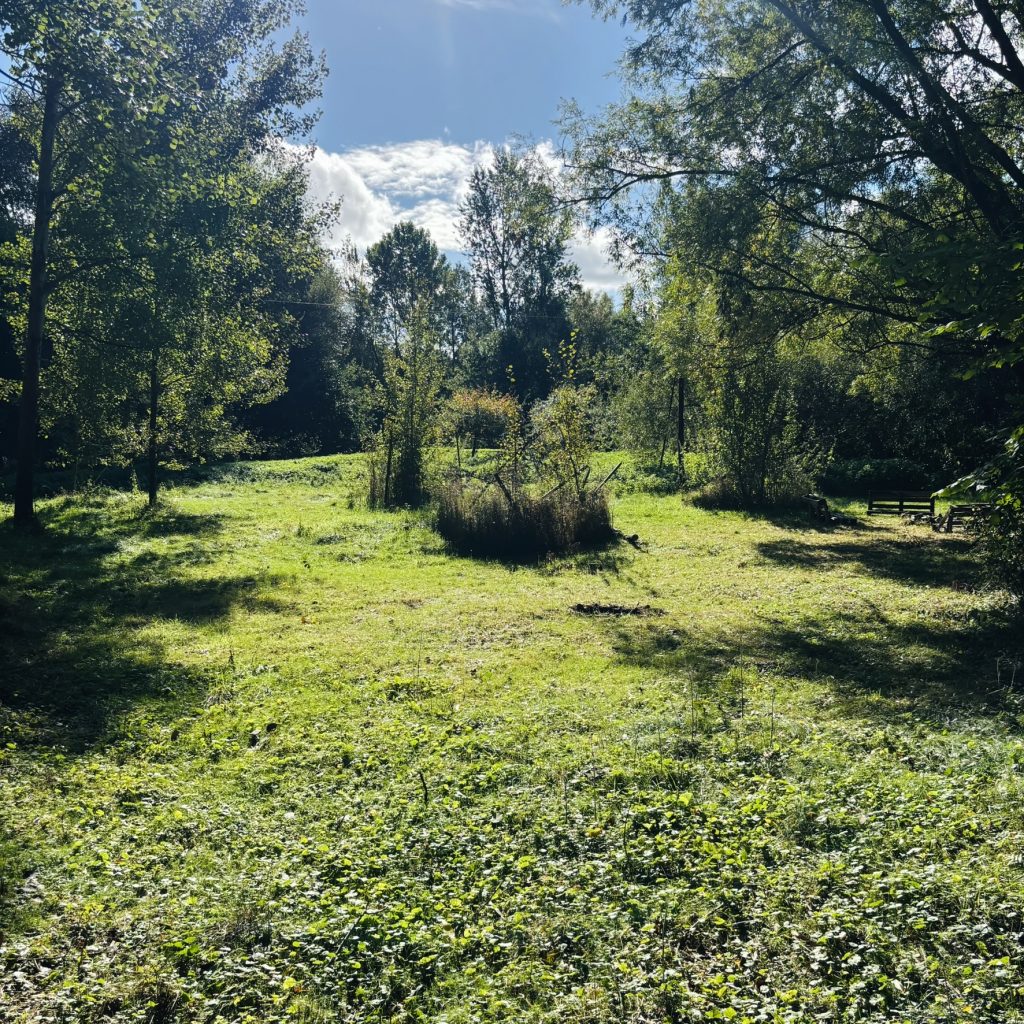 Bildplatzhalter: Wildnisplatz Hinterland – Nieklitz – ergänzendes Bild 3